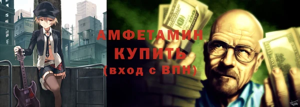 шишки Медвежьегорск