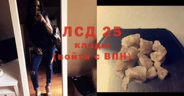 шишки Медвежьегорск