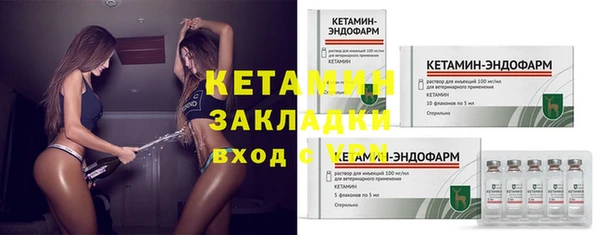 шишки Медвежьегорск