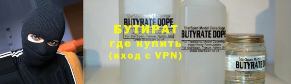 шишки Медвежьегорск