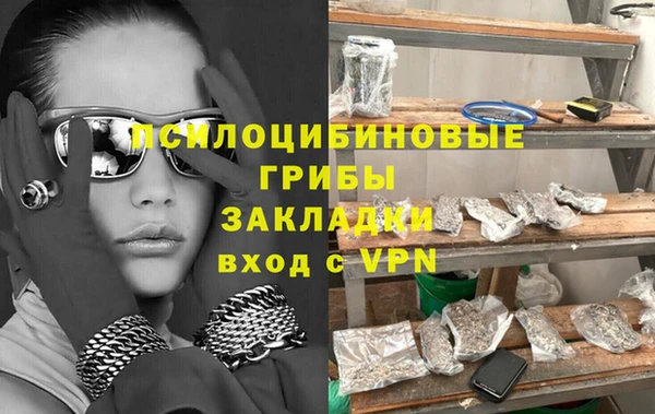 шишки Медвежьегорск