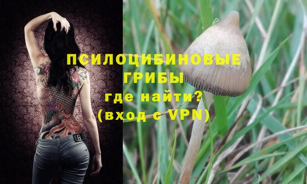 шишки Медвежьегорск
