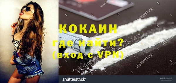 шишки Медвежьегорск