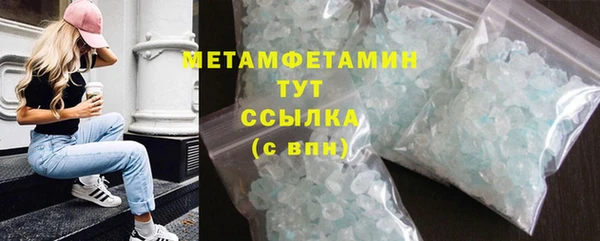 шишки Медвежьегорск
