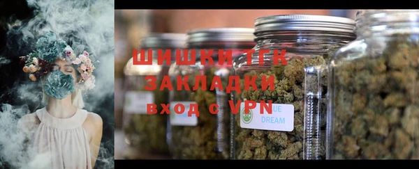 шишки Медвежьегорск