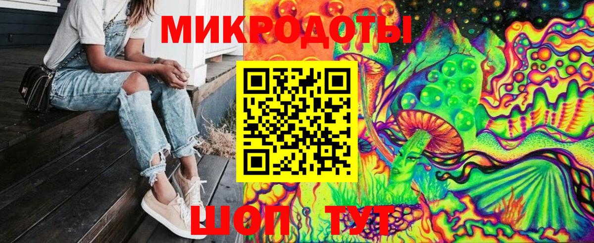 Галлюциногенные грибы мухоморы  Родники  Псилоцибиновые грибы Psilocybe 