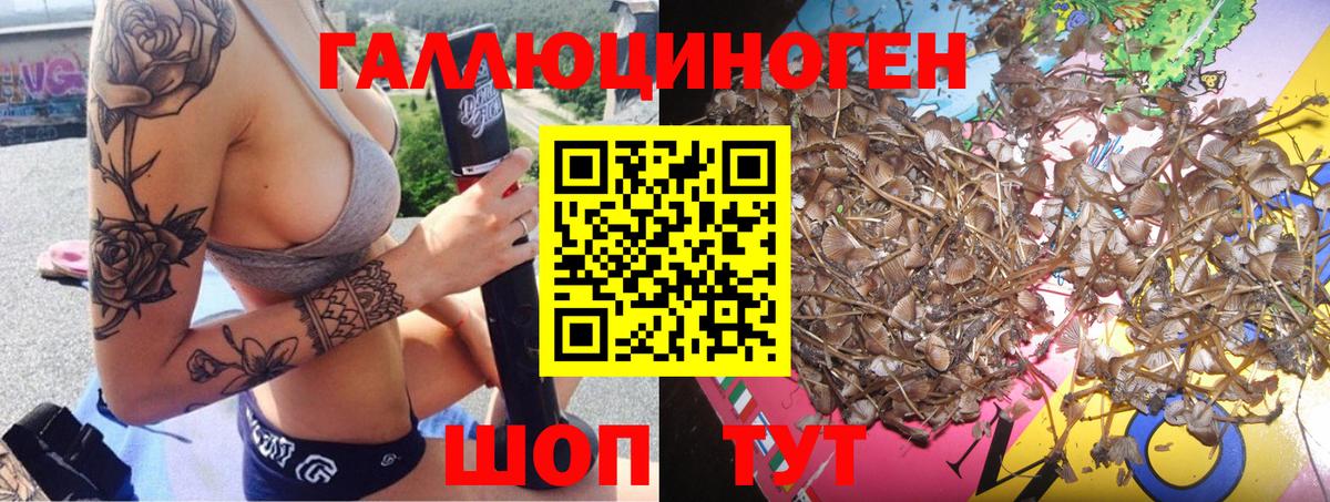 Галлюциногенные грибы Cubensis  Вход с VPN  Родники 
